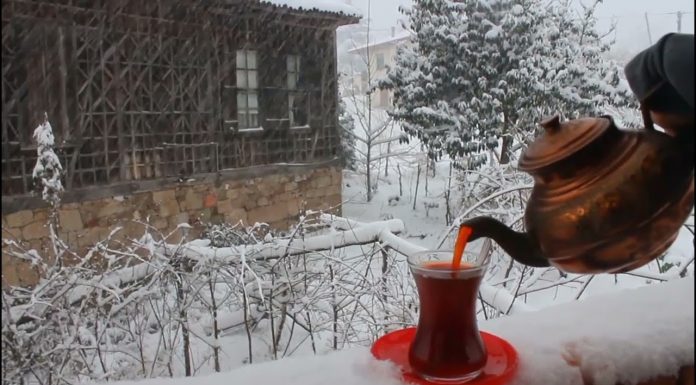 Yiğit Darda Pişer